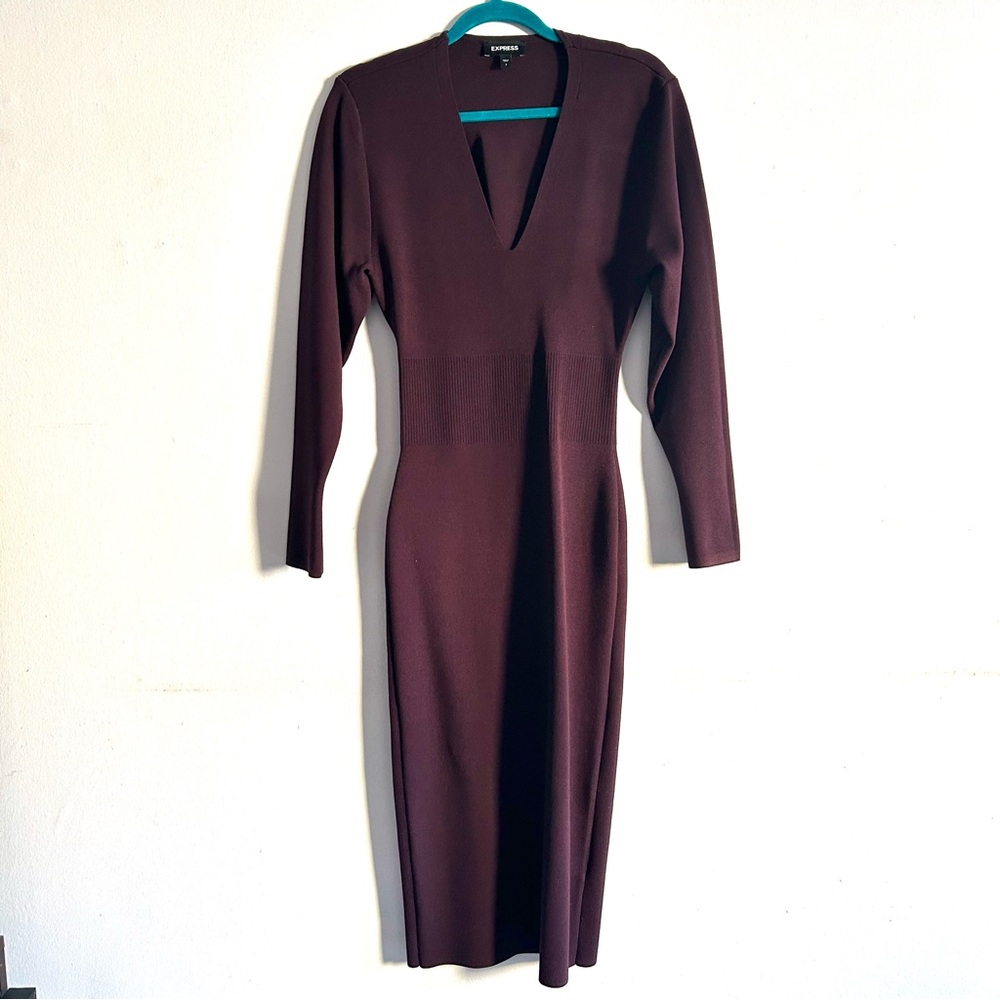Express Eggplant Purple Long Sleeve Bodycon Dress